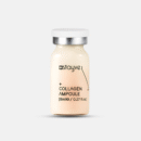 Stayve Collagen Ampoule