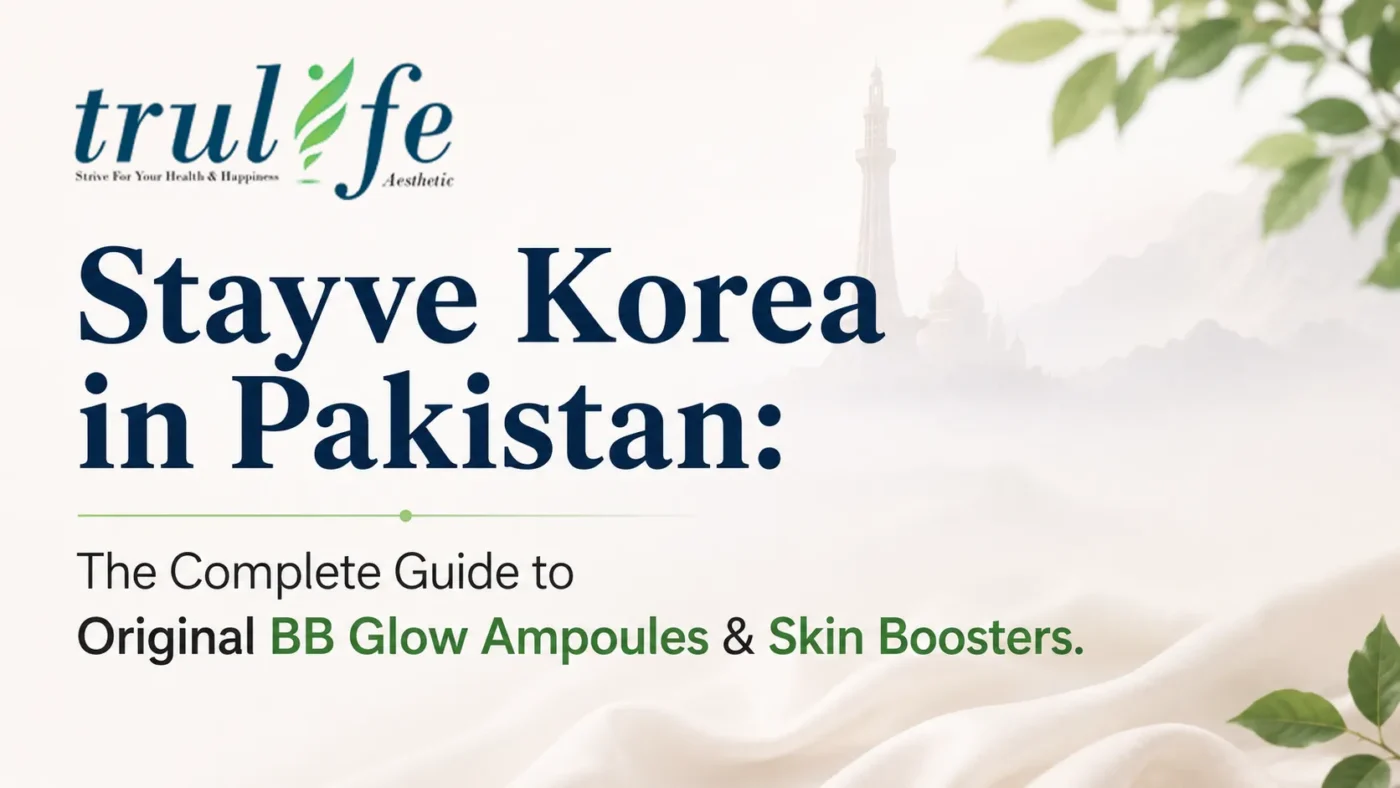 stayve korea